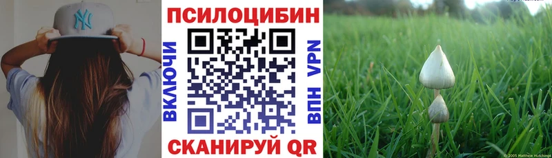 дарк нет какой сайт  Тула  Галлюциногенные грибы ЛСД 
