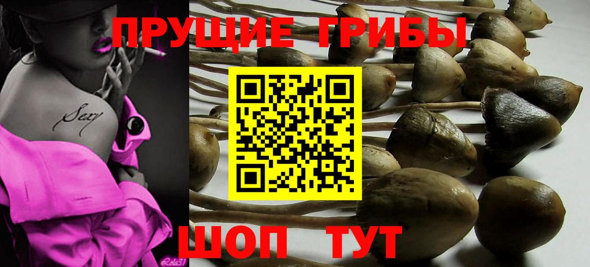 Псилоцибиновые грибы Magic Shrooms  Вход с VPN  Тула 